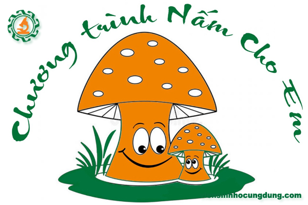“NẤM CHO EM” – CHƯƠNG TRÌNH MANG NHIỀU Ý NGHĨA NHÂN VĂN