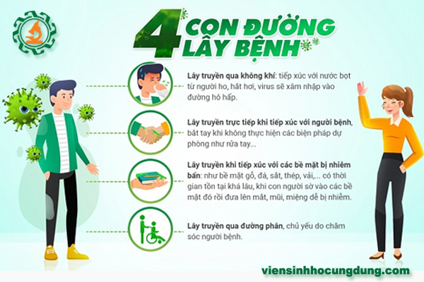 Những điều nên biết về dịch bệnh Corona