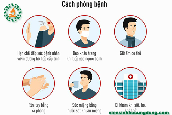 Phân biệt triệu chứng virus corona và bệnh cảm cúm