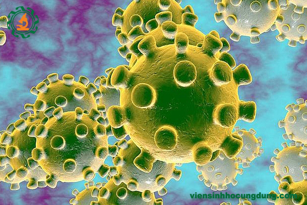 virus corona