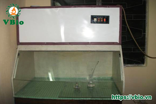 kỹ thuật trồng nấm hàu thủ