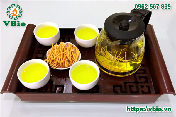 Cách sử dụng đông trùng hạ thảo