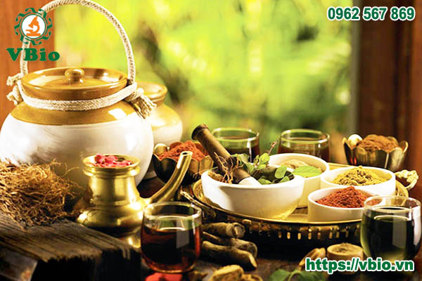 những công dụng của thạch hộc tía
