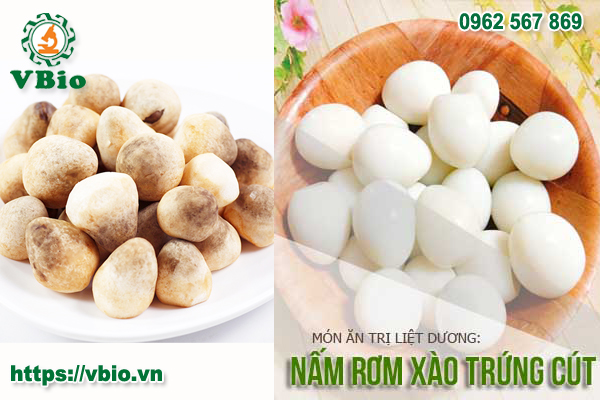 Tác dụng của nấm rơm