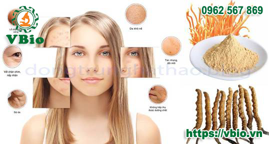 Tác dụng của đông trùng hạ thảo với phụ nữ