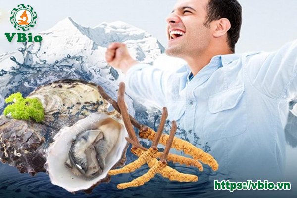 Tác dụng của đông trùng hạ thảo với nam giới