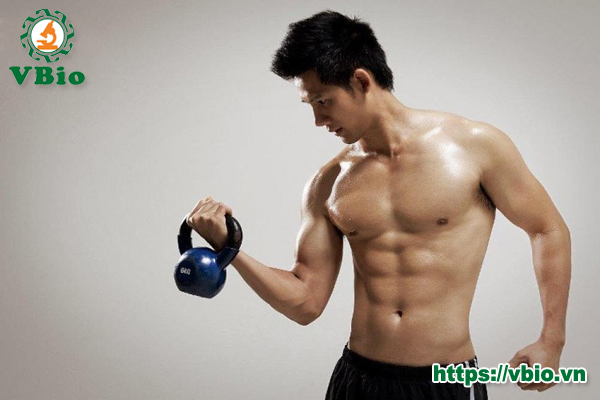 Tác dụng của đông trùng hạ thảo với nam giới