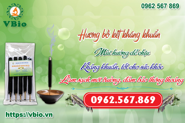 Hương bồ kết kháng khuẩn