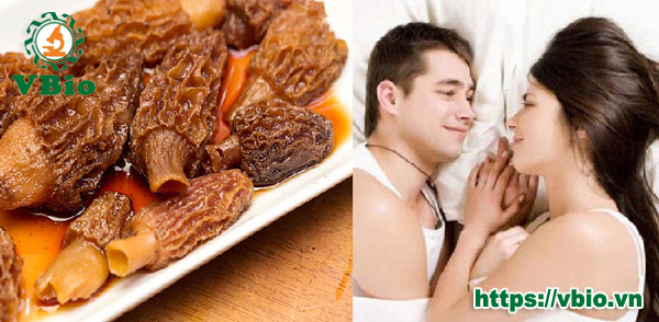  Nấm lim xanh Nấm bụng dê với đặc điểm tác dụng cách dùng