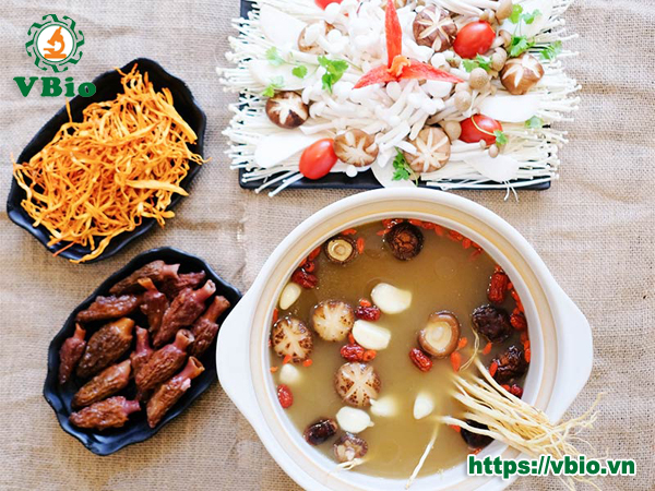 Nấm bụng dê VBio có tác dụng chống oxy hóa