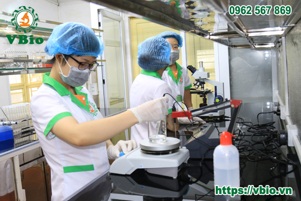 sản xuất phân bón hữu cơ