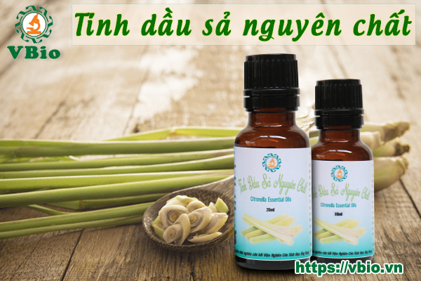 Tinh dầu sả nguyên chất