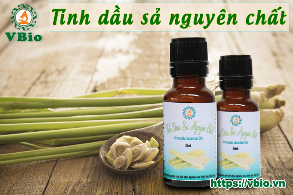 Tác dụng của tinh dầu sả