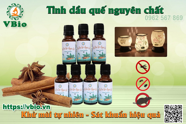 11 CÔNG DỤNG VÀ CÁCH SỬ DỤNG TINH DẦU QUẾ