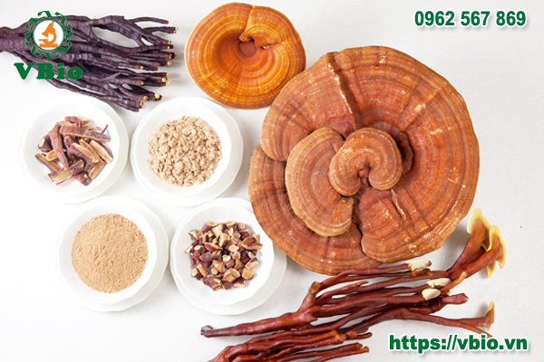 Liều dùng và cách sử dụng nấm linh chi