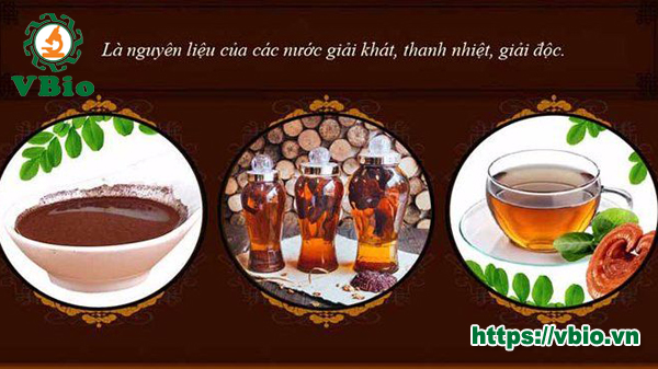 Công dụng nấm linh chi trong Đông y