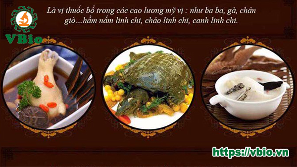 Nấm linh chi chế biến món ăn