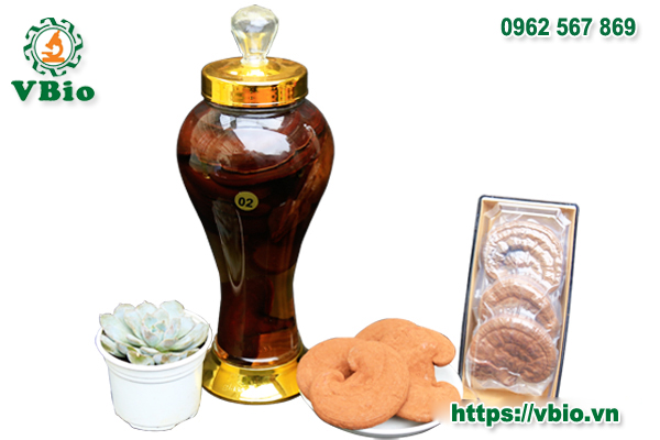 rượu nấm linh chi