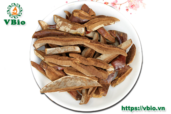 Liều dùng và cách sử dụng nấm linh chi