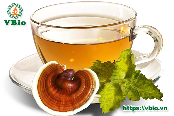 Tác dụng của nấm linh chi và cách sử dụng