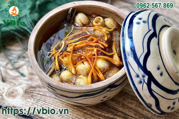 Cách nấu canh đông trùng hạ thảo