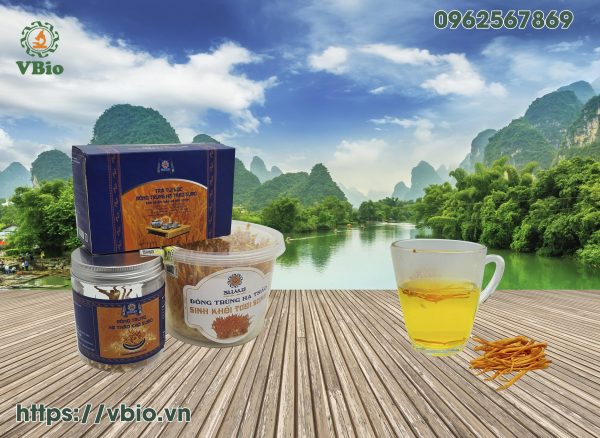 Hướng dẫn pha trà đông trùng hạ thảo