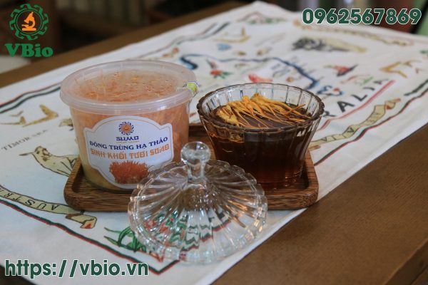 Lợi ích của cách chữa bệnh đường hô hấp bằng đông trùng hạ thảo