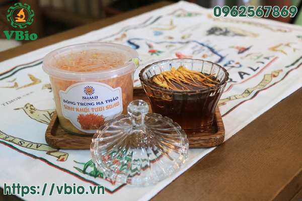 Thuốc đông trùng hạ thảo
