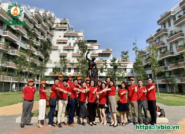 SEo quản trị doanh nghiệp