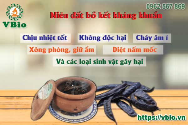 Tác dụng của quả bồ kết